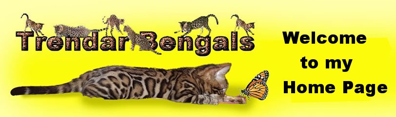Welcome to Trendar Bengals